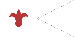 Bayraq