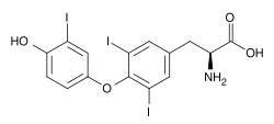 Qalxanabənzər vəzi