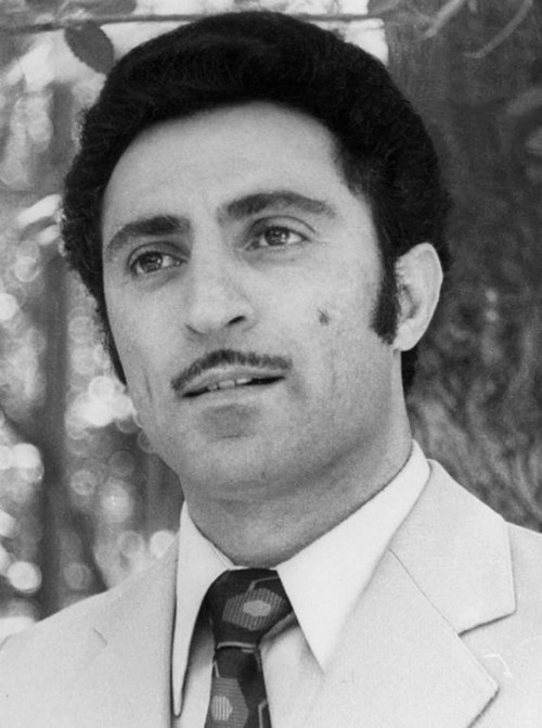 Baba Mahmudoğlu