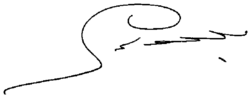 İmzanın şəkli