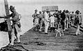 ABŞ Marinesi 1916cı il işğalında