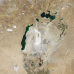 2009-ci ilin avqustu: Şərqi Aral tamamən qurumuşdur.