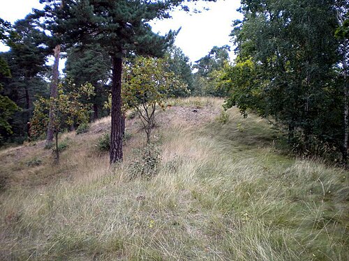 I Byörn