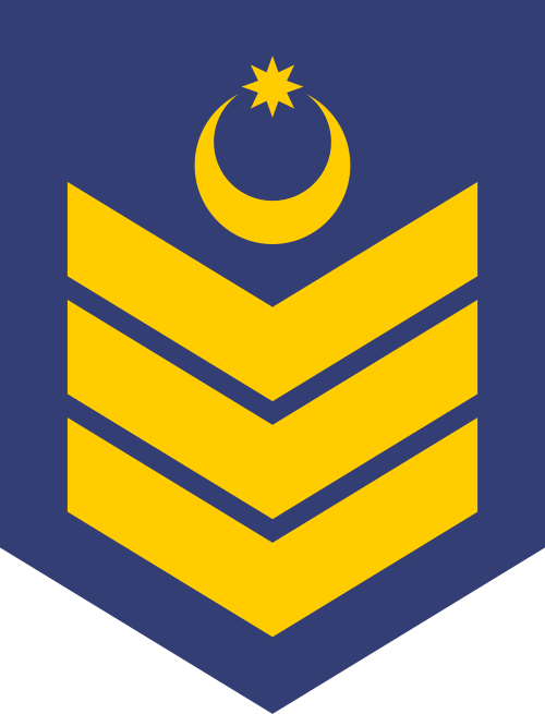 Baş çavuş