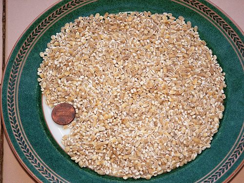 Arpa yarması