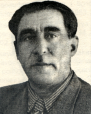 Məzahir Daşqın