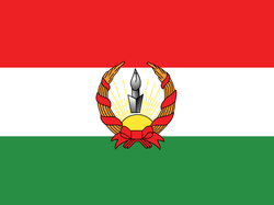 Bayraq