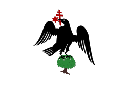 Bayraq