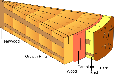 Ağac (material)