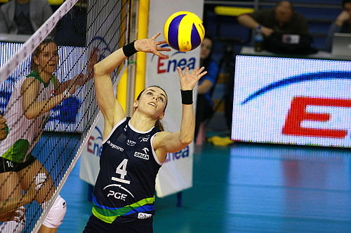 Toppaylayıcı (voleybol)