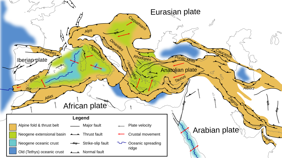 Alp qırışıqlığı