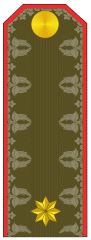 Kiçik leytenant paqonu (Azərbaycan Quru Qoşunları) (1991–1999)