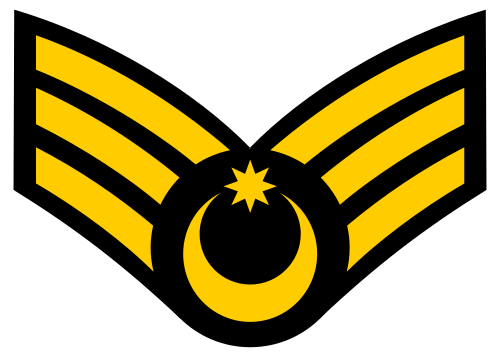 Baş miçman