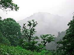 Rain Gilan ostanı