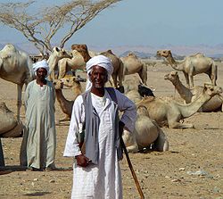 Şimal-şərqi Afrikadan Beca beduinləri