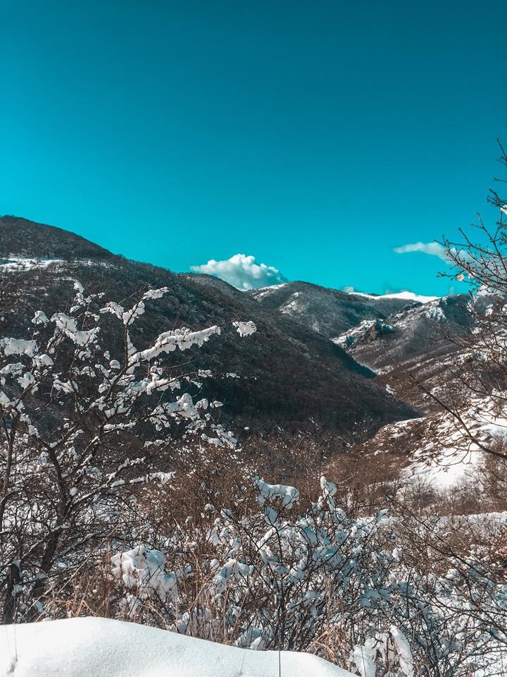 Çovdar (Daşkəsən)