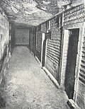 Göy rəngli hücrələr (otaqlar)