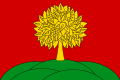 Bayraq Lipetsk vilayətinin