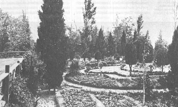 Azərbaycanda bağ