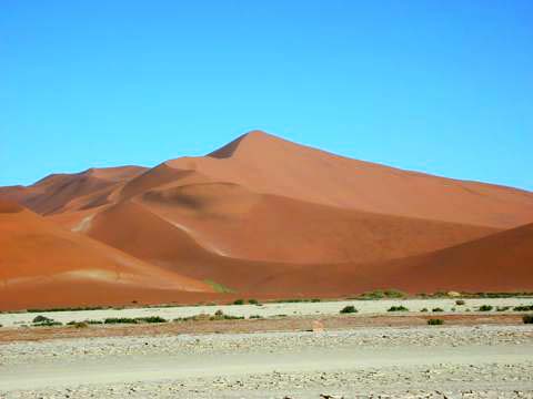 Namib səhrası