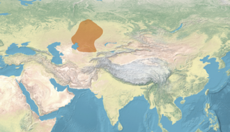 Özbək xanlığı ən güclü dönəmlərində (1428-1468)
