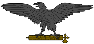 Qara köynəklilər