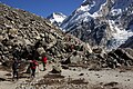 Himalaya