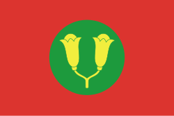 Bayraq