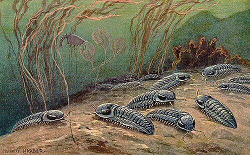Paleozoy erası