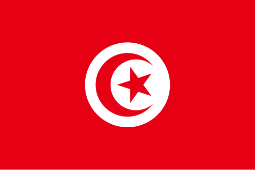 Tunis bayrağı