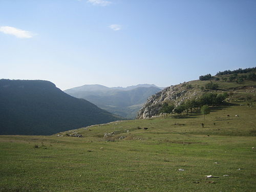 Cıdır düzü