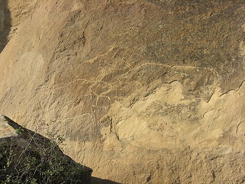 Qobustan petroqlifləri