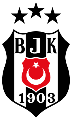 Loqonun şəkli
