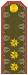 Baş leytenant poqonu (Azərbaycan Quru Qoşunları) (1991–1999)