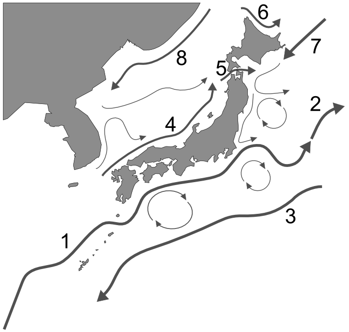 Şərqi Koreya cərəyanı (4)
